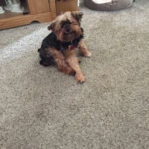 Meet your Posher, Patty